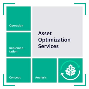Asset Optimization Services