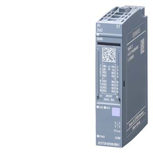 Analog input modules