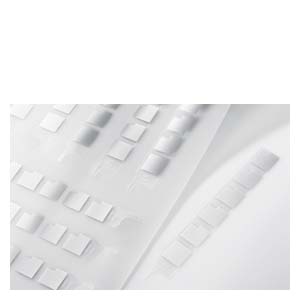 Labeling strips